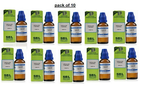 SBL Sarracenia Purpurea 1M (1000 CH) (30ml) -pack of 10 image 1