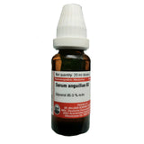 Dr Willmar Schwabe Germany Serum Anguillae Dilution 6X - 20 ml image 1