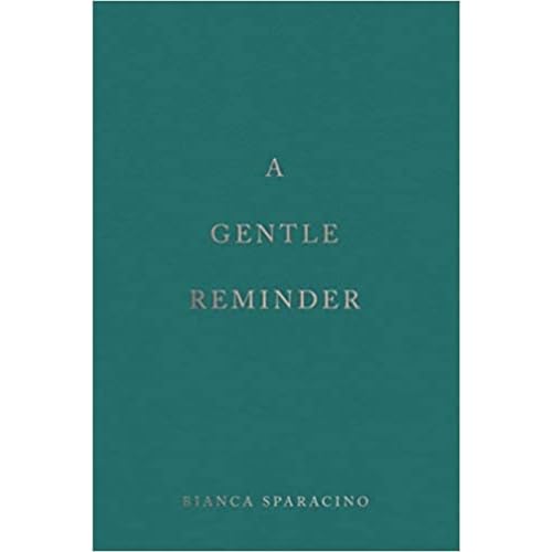 Gentle Reminder + Strength In Our Scars - Paperback image 2