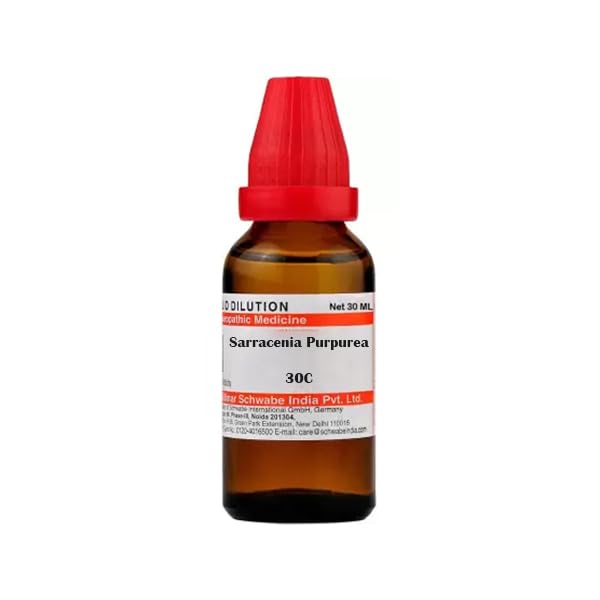 Willmar Schwabe Homeopathy Sarracenia Purpurea Dilution (30 ML)-30CH image 1