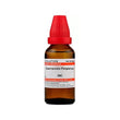 Willmar Schwabe Homeopathy Sarracenia Purpurea Dilution (30 ML)-30CH image 1