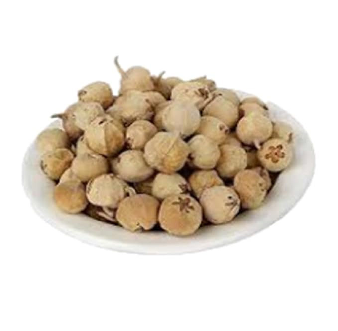 Yugantar Paneer Dodi image 4