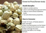 Namo Organics Paneer Doda-400gm image 7