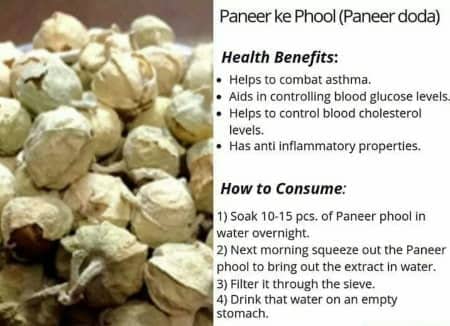 Namo Organics Paneer Doda-400gm image 8