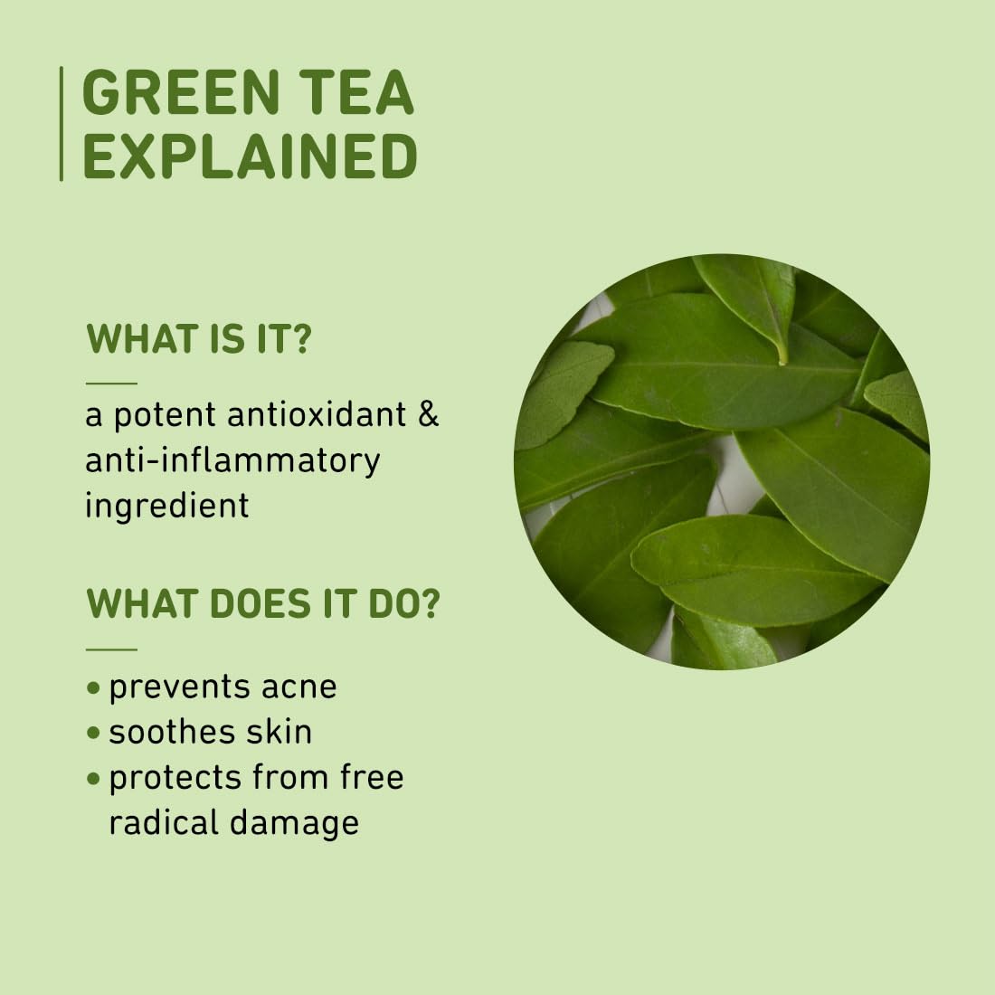 Plum Green Tea Renewed Clarity Night Gel Moisturizer With Glycolic Acid  :- 50 gm image 5