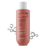 Bare Anatomy Hair Colour Protect Shampoo,Protein For Dry & Frizzy Coloured Hair For Unisex,-  250ml image 1