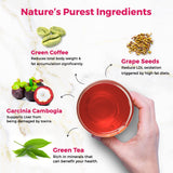 Auric Green Tea & Herbal Effervescent Tablets | 20 Count image 6