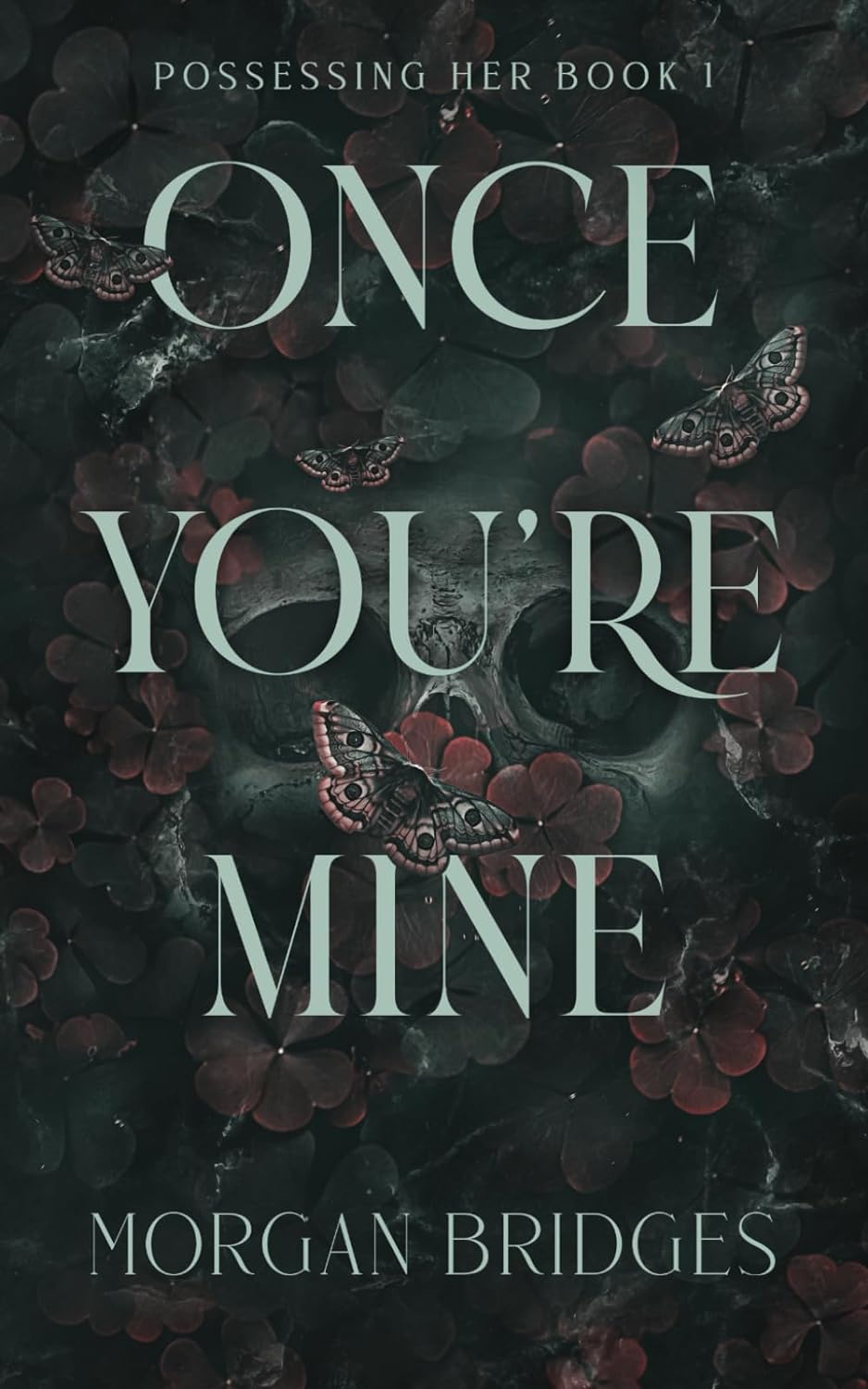 Once You Are Mine:(Book 1) Paperback image 1