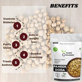 Namo Organics Paneer Doda-400gm image 4