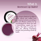 Aravi Organic Beetroot Lip Balm Balm With Beetroots, Shea Butter & Cocoa Butter 8 Gm, Red image 3