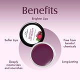Aravi Organic Beetroot Lip Balm Balm With Beetroots, Shea Butter & Cocoa Butter 8 Gm, Red image 2