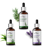 Aravi Organic   Tea Tree, Lavender And Rosemary Essential Oil -15 ml image 1