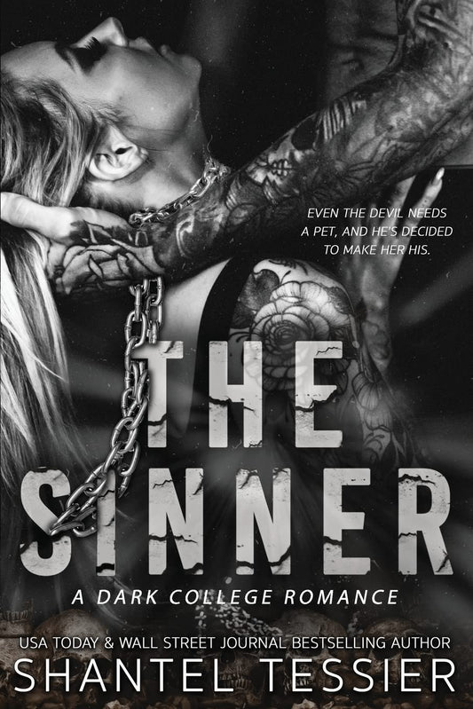 The Sinner (PAPER BACK) (S) image 1