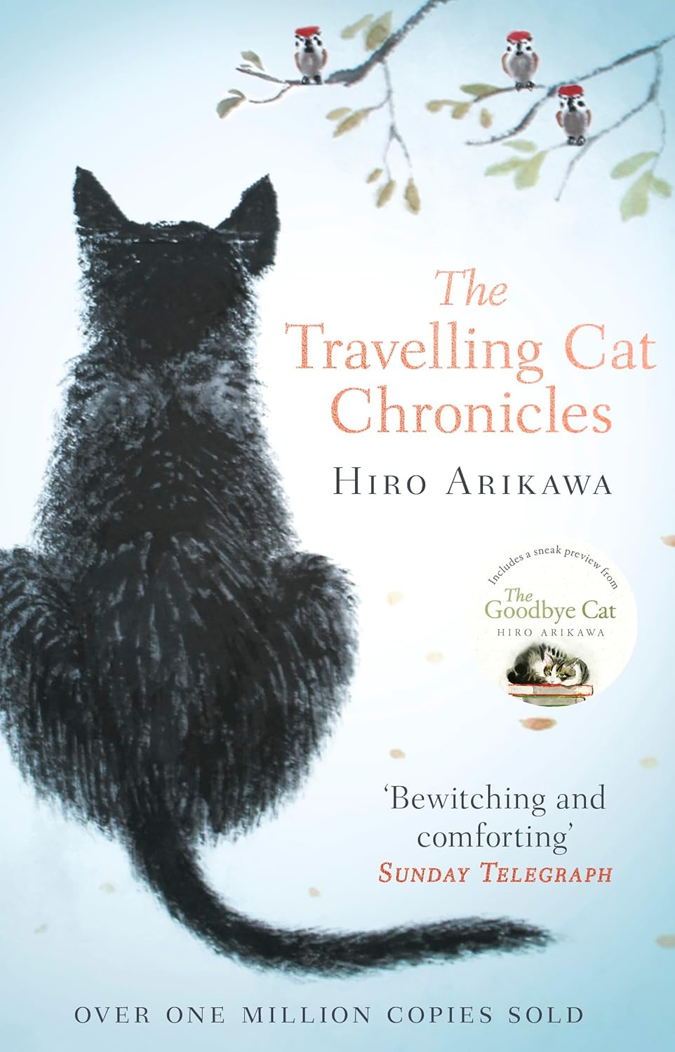 The Travelling Cat Chronicles:  + The Goodbye Cat  - Paperback image 2