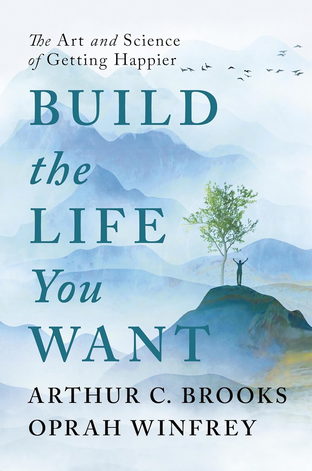 The Anxious Generation /  Build the Life You Want /  Sick Fux :- paperback image 2