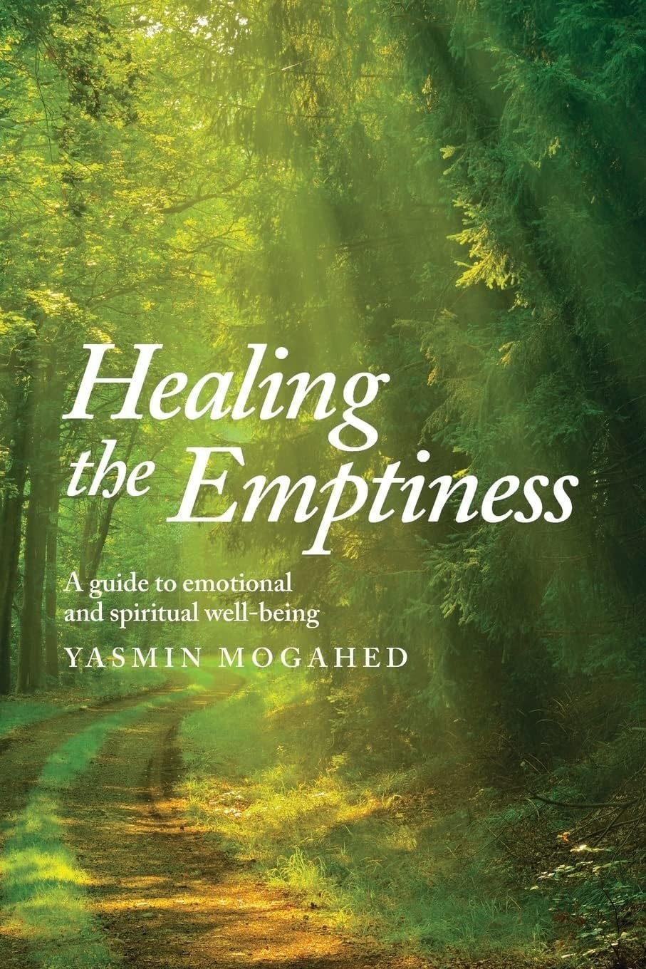 Reclaim Your Heart: +   Healing the Emptiness: Paperback image 4