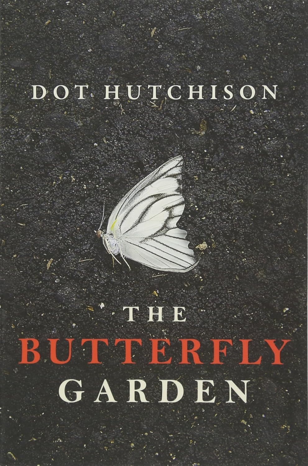 BUTTERFLY GARDEN Paperback image 1