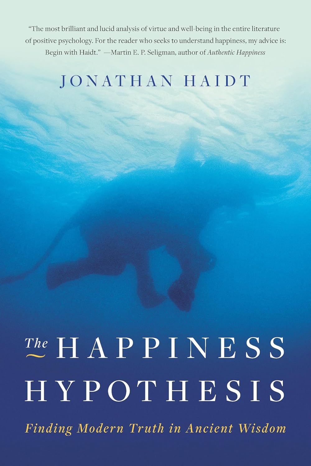 The Happiness Hypothesis:- paperback image 1