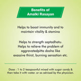 Baidyanath Jhansi Amalki Rasayan -120 gm - pack of 1 image 2