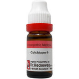 Dr. Reckeweg Colchicum Dilution -6 CH - 11 ml image 1
