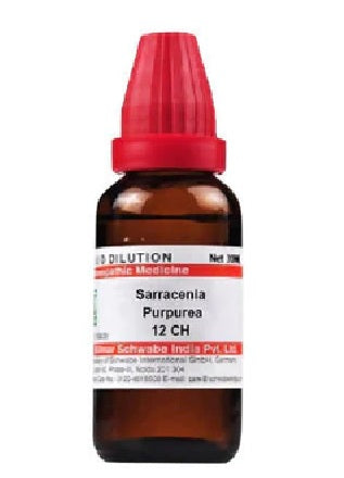 Dr. Willmar Schwabe  Sarracenia Purpurea Dilution-12CH image 1