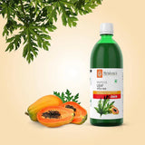 Krishna's Herbal & Ayurveda Papaya Leaf Juice image 4