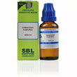 SBL Sarracenia Purpurea 1M (1000 CH) (30ml) image 1